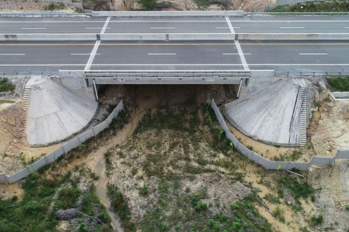 Underpass perlintasan gajah Tol Pekanbaru-Dumai.