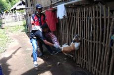 Kasus Gigitan Anjing Meningkat, 489 Warga Dompu Jadi Korban