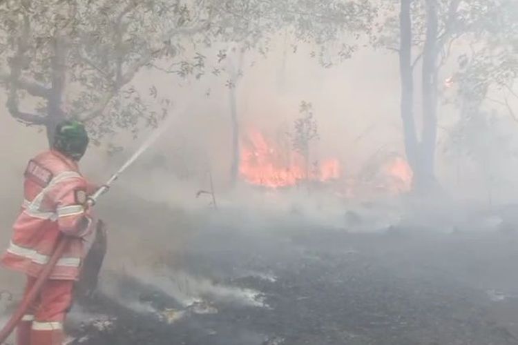 Petugas sedang memadamkan api di daerah Sungai Samak, Belitung, Kamis (28/9/2023).