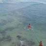 Sempat Terseret Gelombang, Guru Besar UGM Tewas di Pantai Gunungkidul