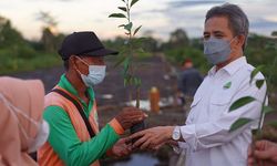BRGM Bantu Masyarakat Desa Talio Hulu, Kalteng Budidayakan Jeruk di Lahan Gambut
