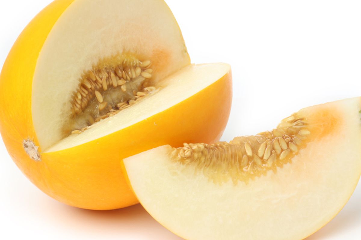 Ilustrasi melon kuning. 