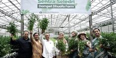 Gelar Panen Perdana, Greenhouse Sentra Seledri Binaan Dompet Dhuafa Raih Penghasilan Rp 120 Juta