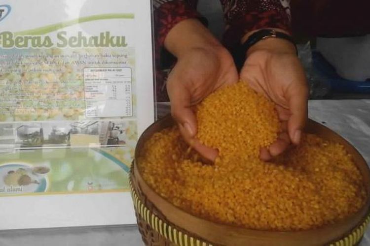 Beras Siger bahan baku singkong yang bisa dijadikan makanan pengganti selain beras. Produk ini dipamerkan dalam peringatan hari pangan se dunia di Lampung