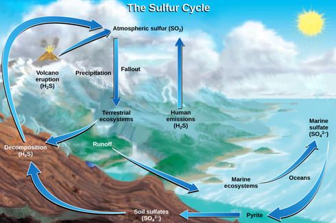 Daur Sulfur: Pengertian dan Proses Terjadinya