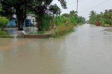 Dampak Banjir di Batu Bara Sumut, Ribuan Hektar Lahan Pertanian Rusak