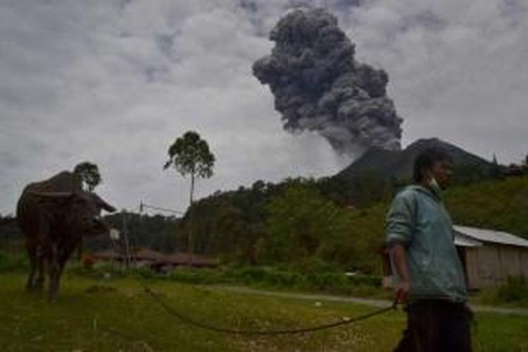 Warga dengan kerbaunya dengan latar belakang Gunung Sinabung di Kabupaten Karo, Sumut, yang kembali meletus Selasa, 17 September 2013 pukul 12.03. Status gunung Siaga III.