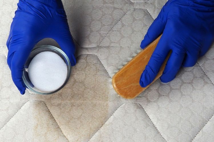 ilustrasi membersihkan kasur.