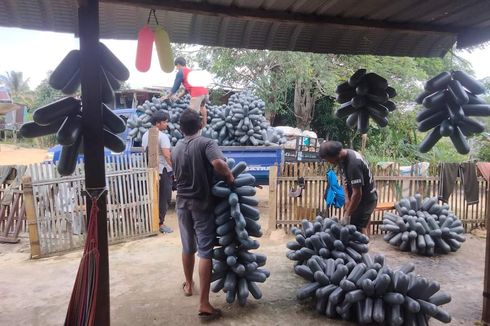 Ratusan Ribu Botol Plastik Bekas Masuk Nunukan Kaltara, Sebagian Diimpor dari Malaysia