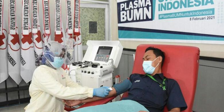 Ingin Jadi Donor Plasma Konvalesen Berikut Syarat Dan Caranya