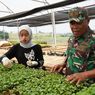 Agroforesti TNI AD Serap Ratusan Petani Lokal di Gunung Hejo Purwakarta