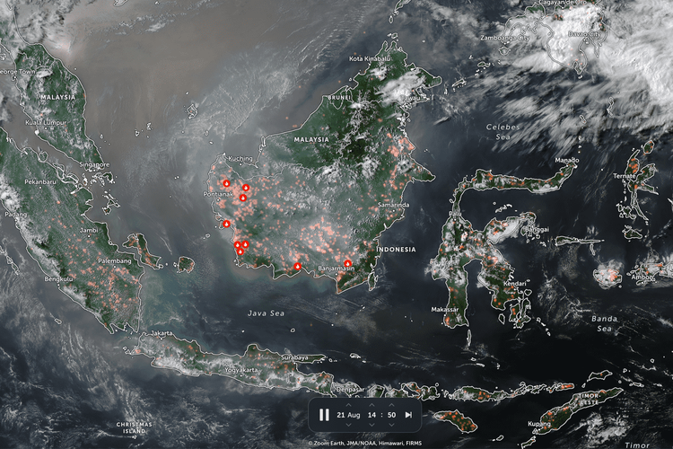 3 Link dan Aplikasi Pantau Titik Kebakaran Hutan Kalimantan 