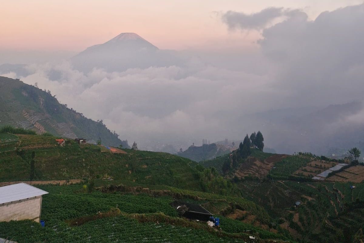 Wisata Pendakian Jadi Jalan Memulihkan Hutan Gunung Prau