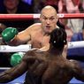 Rencana Duel Tyson Fury Vs Anthony Joshua Belum Capai Kesepakatan Final