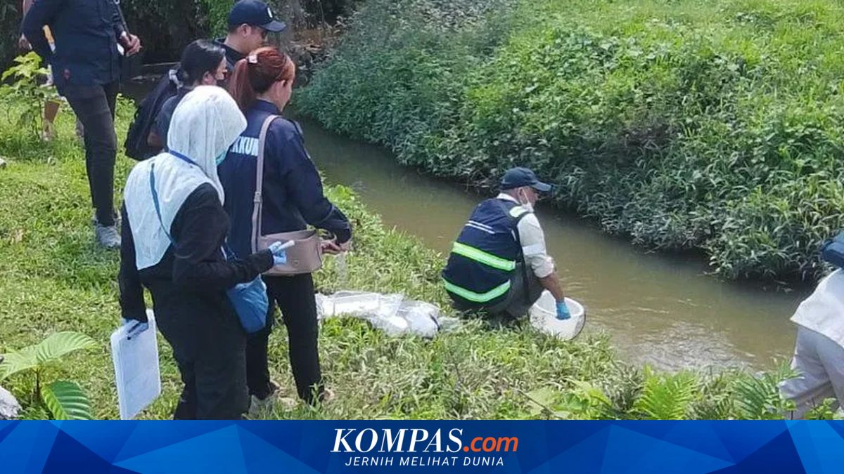 Limbah Perusahaan Ekstraksi Bahan Baku Cat Diduga Cemari Sungai di Manokwari