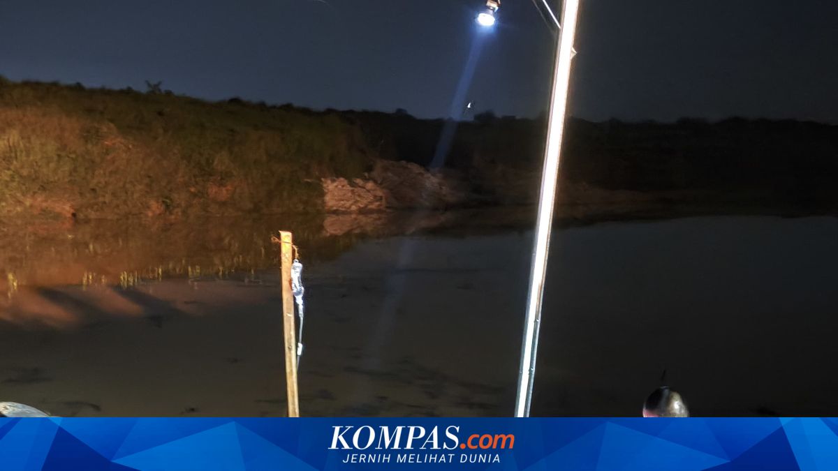 Kabar Duka dari Way Kambas, Gajah Indra yang Puluhan Tahun Bantu Konservasi Mati
