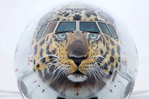 Maskapai Rusia Hias Moncong Pesawat Bergambar Macan Tutul Amur