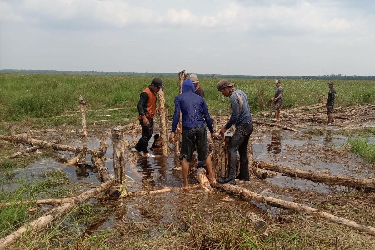 Pembangunan sekat kanal BRGM oleh masyarakat Desa Siju, Sumatera Selatan.