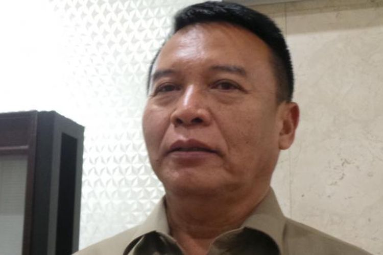 Politisi PDI Perjuangan, Tubagus Hasanuddin