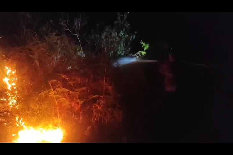 Karhutla Dekati Kantor Desa dan Pemukiman Warga di Mamasa, 3 Hektar Terbakar