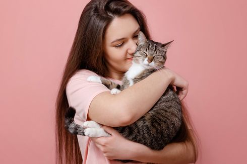 6 Cara Kucing Menunjukkan Kasih Sayangnya pada Kita