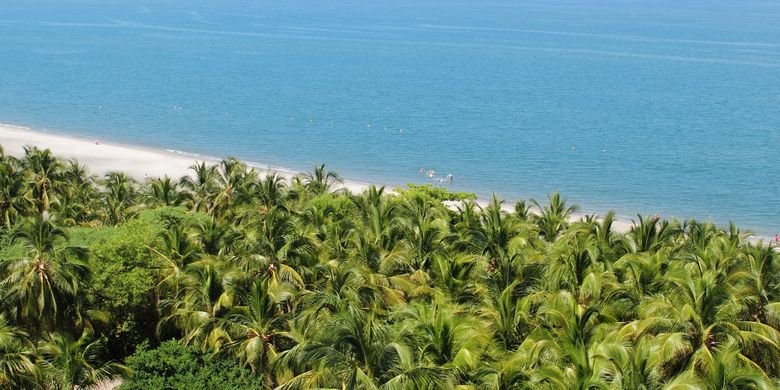 Pengertian Iklim Tropis, Ciri-Ciri, dan Persebarannya