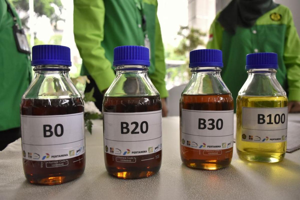 Ilustrasi biodiesel B30