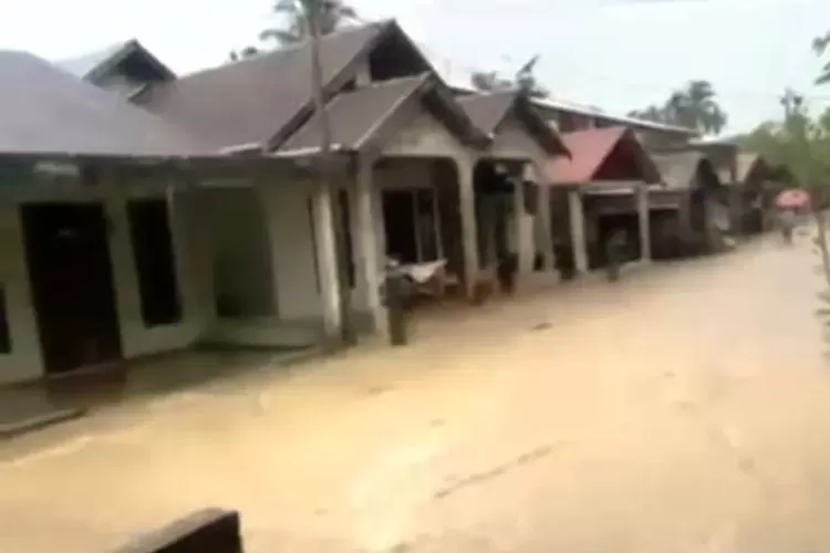 Krueng Meureubo Meluap, Banjir Rendam Permukiman Warga Aceh Barat