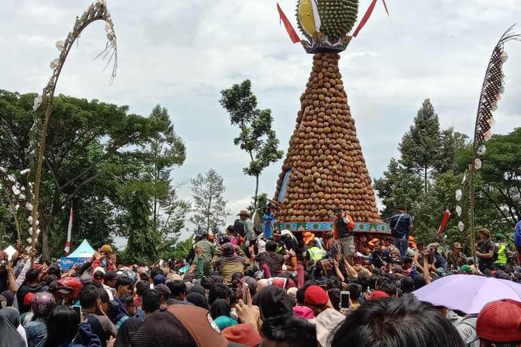 Para wisatawan berebut mendapatkan durian dalam acara Kenduri Durian di Lapangan Wonosalam, Kabupaten Jombang, Jawa Timur, Minggu (5/3/2023).
