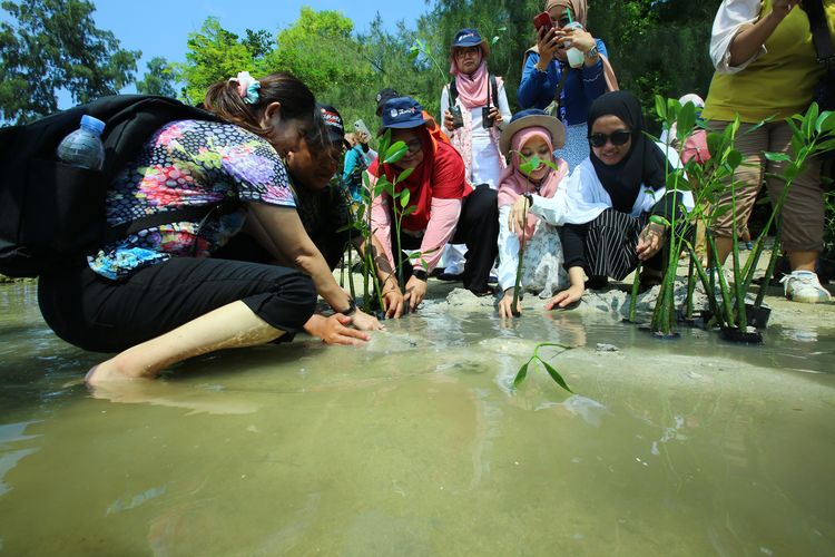 Jakarta Ecotourism Festival 2026, Ajarkan Pelajar Jaga Mangrove hingga Kenalkan Wisata Berkelanjutan
