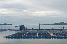 Komisi I DPR Minta Perlindungan TKI Diperbaiki Buntut Kasus Seni di Malaysia