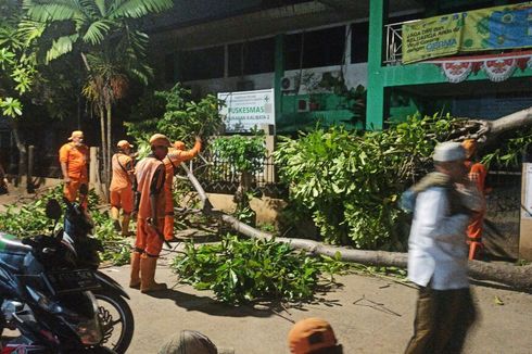 Jakarta Diterjang Angin Kencang Semalam dan Ancaman Siklon Paddy, Bahayakah?