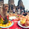 Thailand Menggelar Festival Monyet, Ada Pesta Makanan 