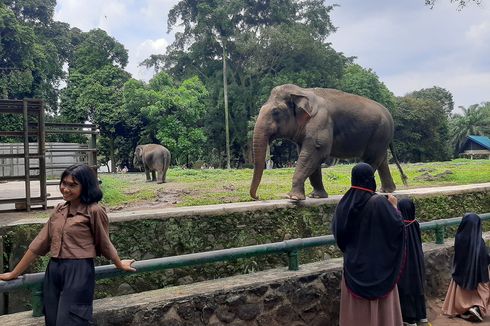 8 Tempat Wisata Murah Meriah di Jakarta untuk Libur Lebaran 2023