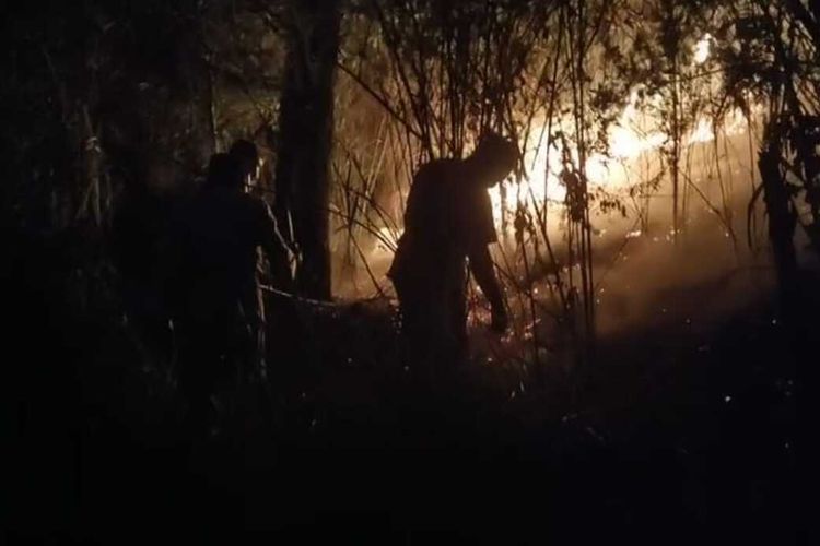 Upaya pemadaman api oleh Personel gabungan di Gunung Lawu, Kabupaten Karanganyar, Jawa Tengah (Jateng), pada Rabu (30/8/2023).
