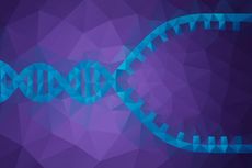 Soal UAS Biologi: Replikasi DNA
