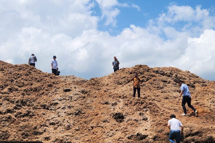 Limbah tepung atau serbuk aren ini dihasilkan di Dusun Sarayuda, Desa Kertaharja. Di desa ini,  terdapat belasan pabrik pengolahan tepung aren.