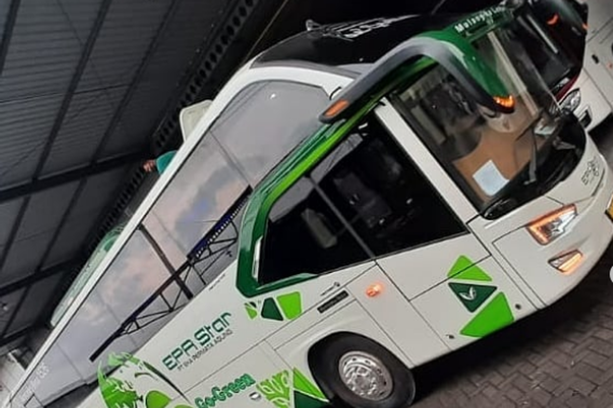 Bus AKAP baru PO EPA Star