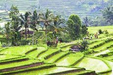 Indonesia Tuan Rumah Raid Amazone 2015  