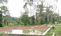 Berkat Embung, Petani di Sorong Raup Untung