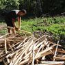 Mari Bantu Guru Petuk, Guru di Pedalaman NTT yang Jual Kayu Api untuk Kebutuhan Keluarga