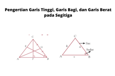 Pengertian Garis Tinggi, Garis Bagi, dan Garis Berat pada Segitiga