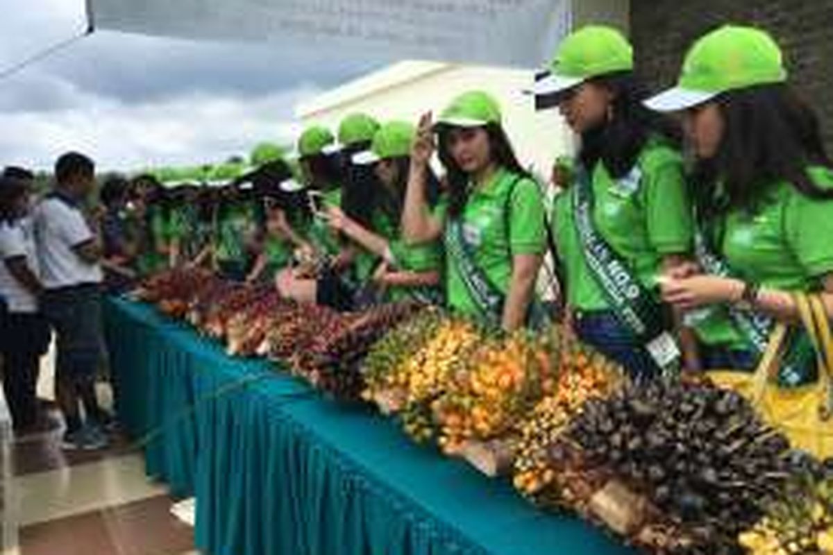 Kunjungan Miss Earth 2016 ke perkebunan kelapa sawit PT Musim Mas di Pekanbaru, Riau, Jumat (29/7/2016). 