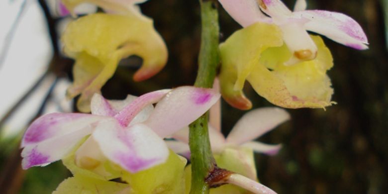 Jinsiy aloqa qizlar kg