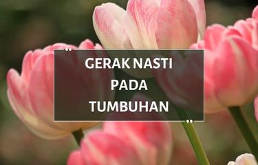 Pengertian Gerak Nasti pada Tumbuhan beserta Jenis dan Contohnya