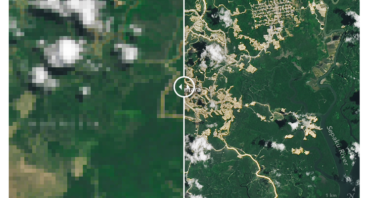 Viral Foto NASA soal Penyusutan Hutan di IKN, Ini Klarifikasi Otorita
