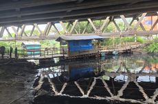 13 Anak Sungai di Jakarta Masih Tercemar Limbah, DLH Ingatkan Bahaya Memancing Ikan