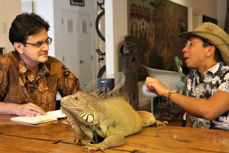 Iguana kolumbia hijau milik Kuya Kim Atienza, Bert, baru saja terbangun dari tidur sebelum dibawa untuk bergabung dalam sesi wawancara.
