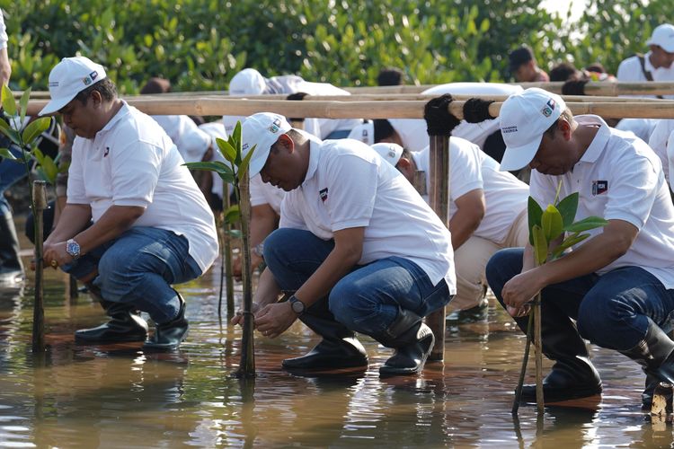 Penanaman bibit mangrove sebagai simbol komitmen bersama dalam menjaga pesisir Jakarta dari ancaman abrasi dan perubahan iklim. 

