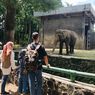 5 Aktivitas di Kebun Binatang Ragunan, Tak Cuma Lihat Satwa